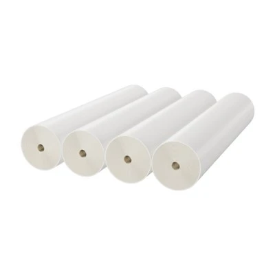 HTHP-Series Sanitary High-Temperature High-Pressure RO membrane